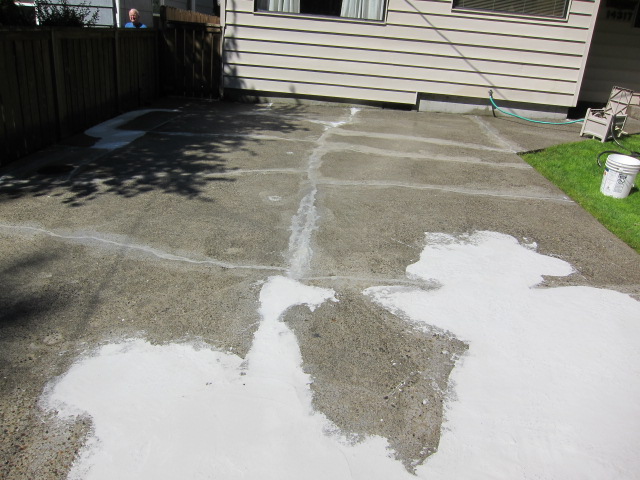 BEFORE - Driveway